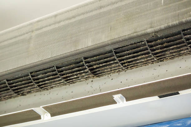 Best Air Duct Cleaning Company Near Me  in Grandview, WA
